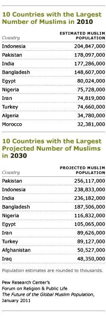 top 10 muslim countries projecti